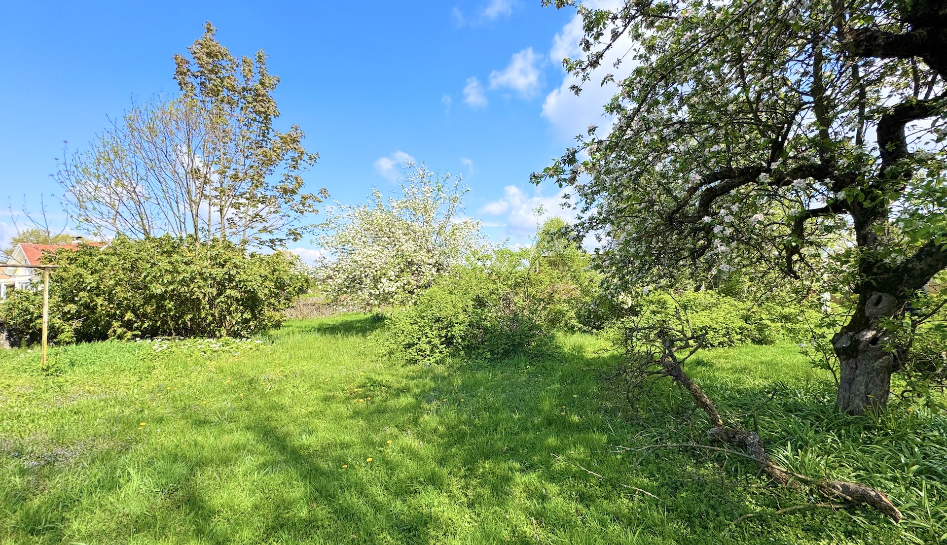 bz-immobilien