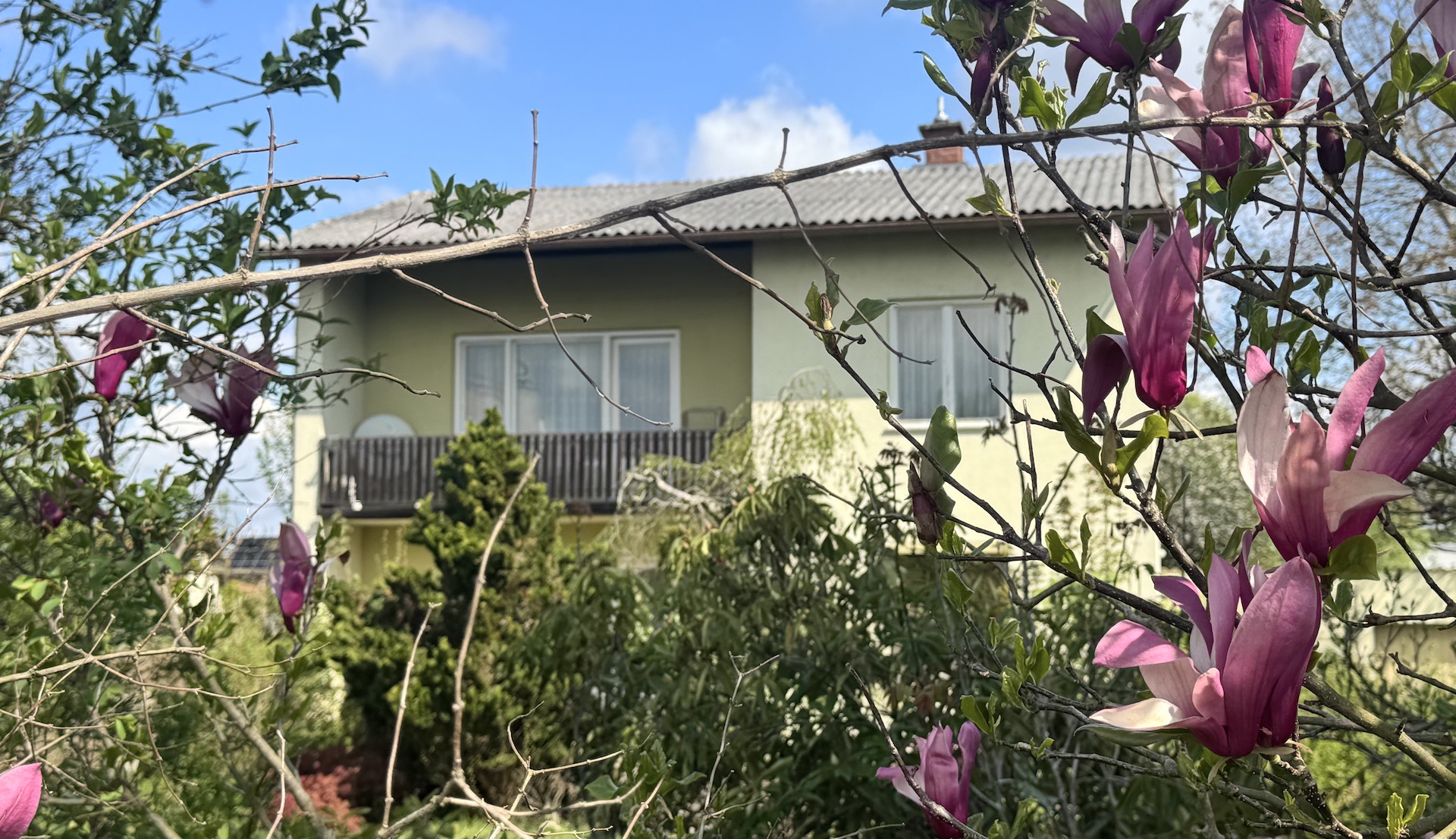 bz-immobilien