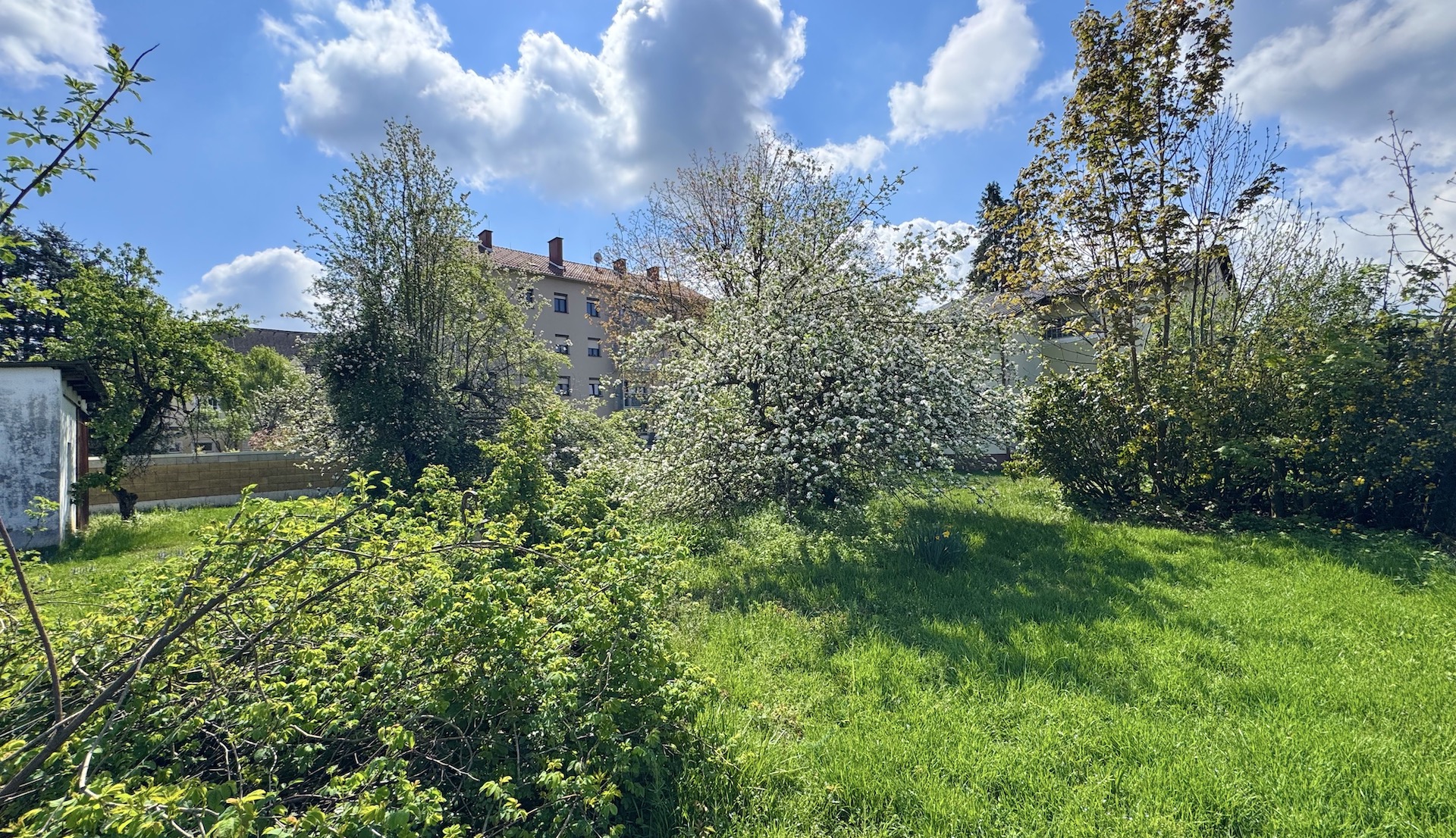 bz-immobilien