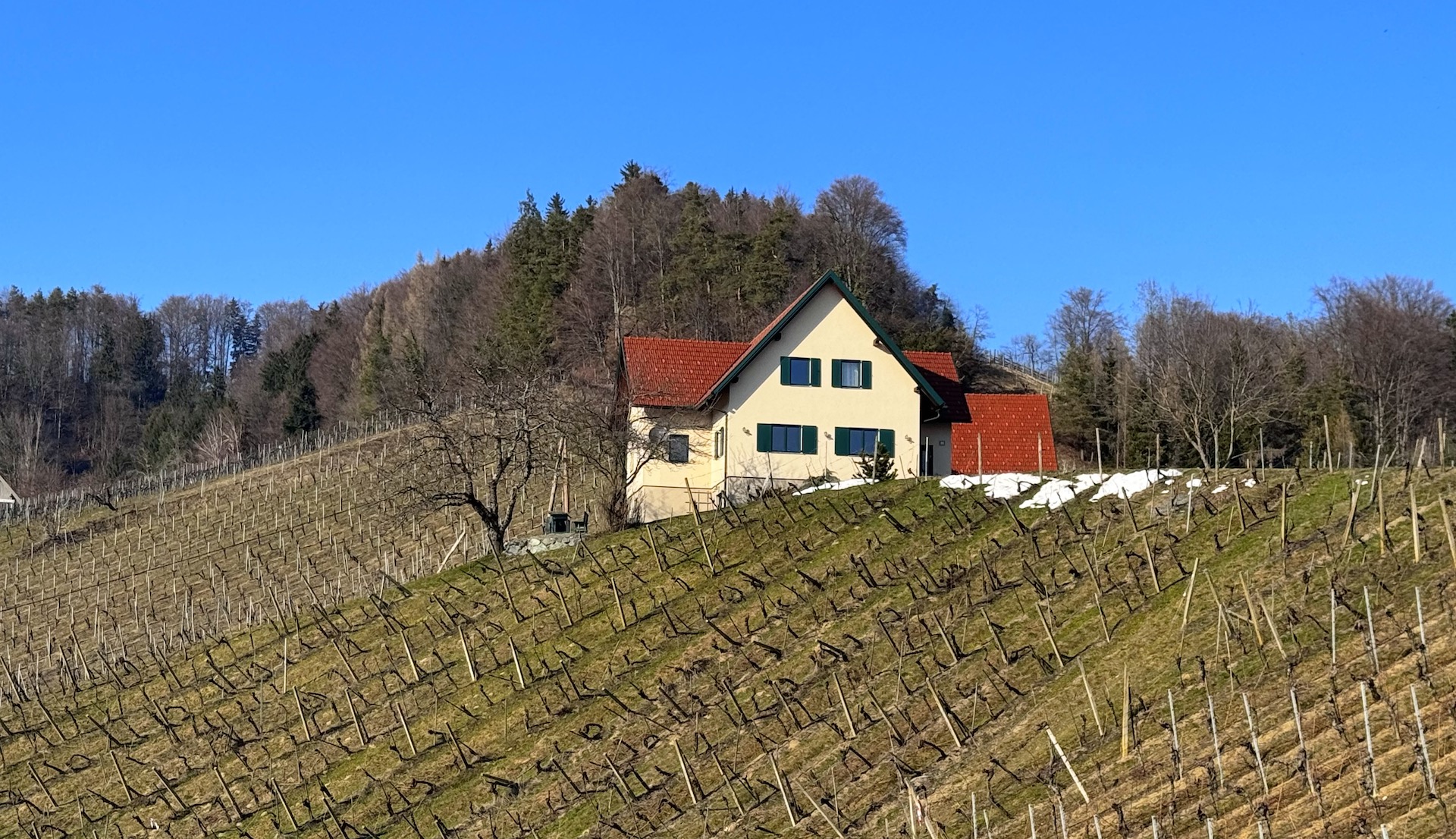 bz-immobilien