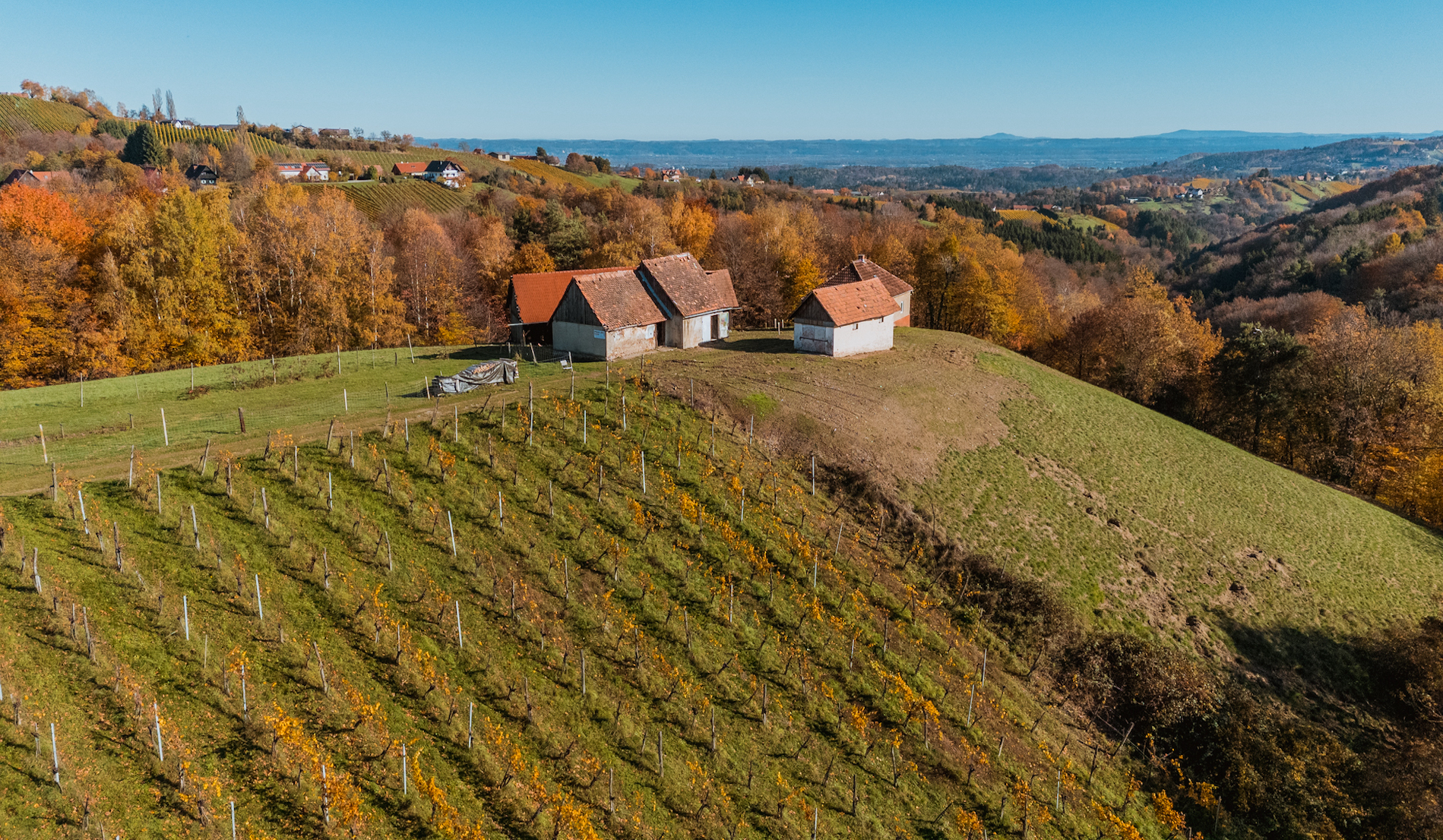 bz-immobilien
