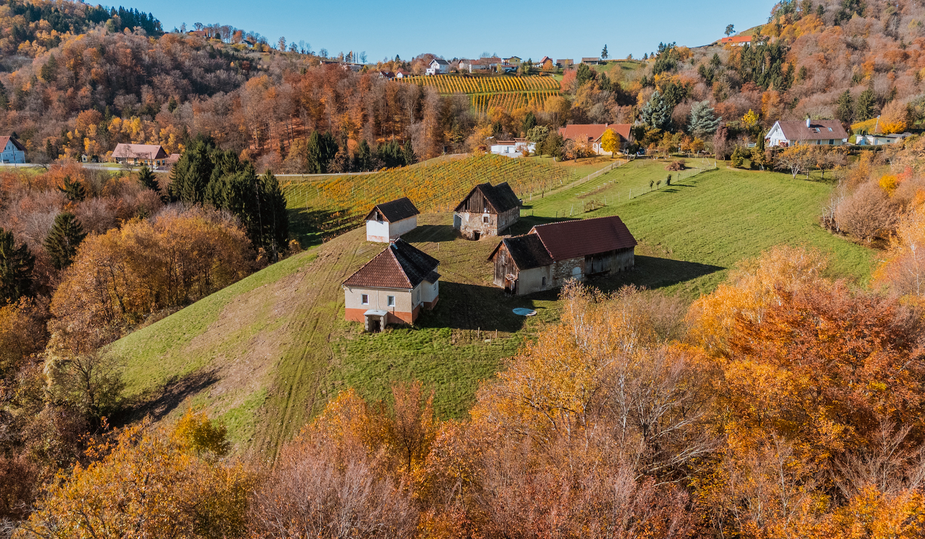 bz-immobilien