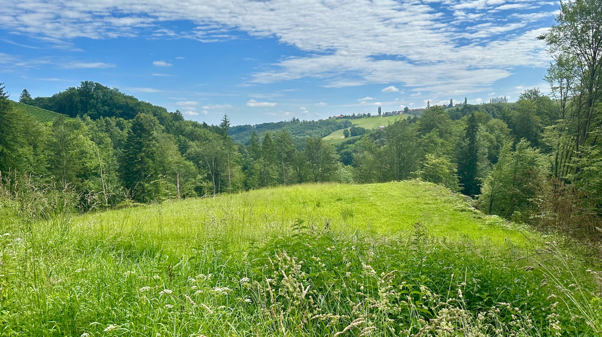 bz-immobilien