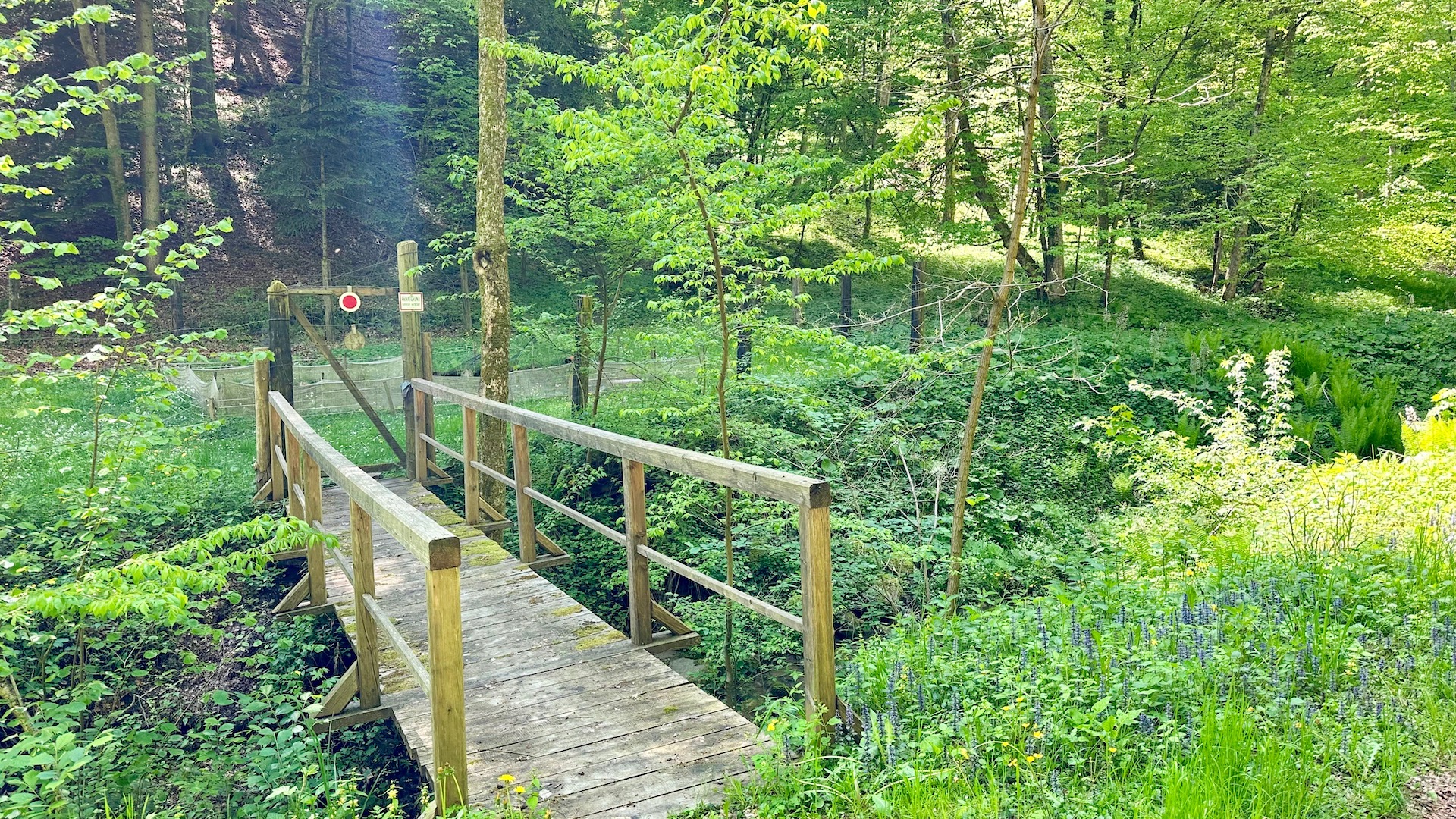 bz-immobilien