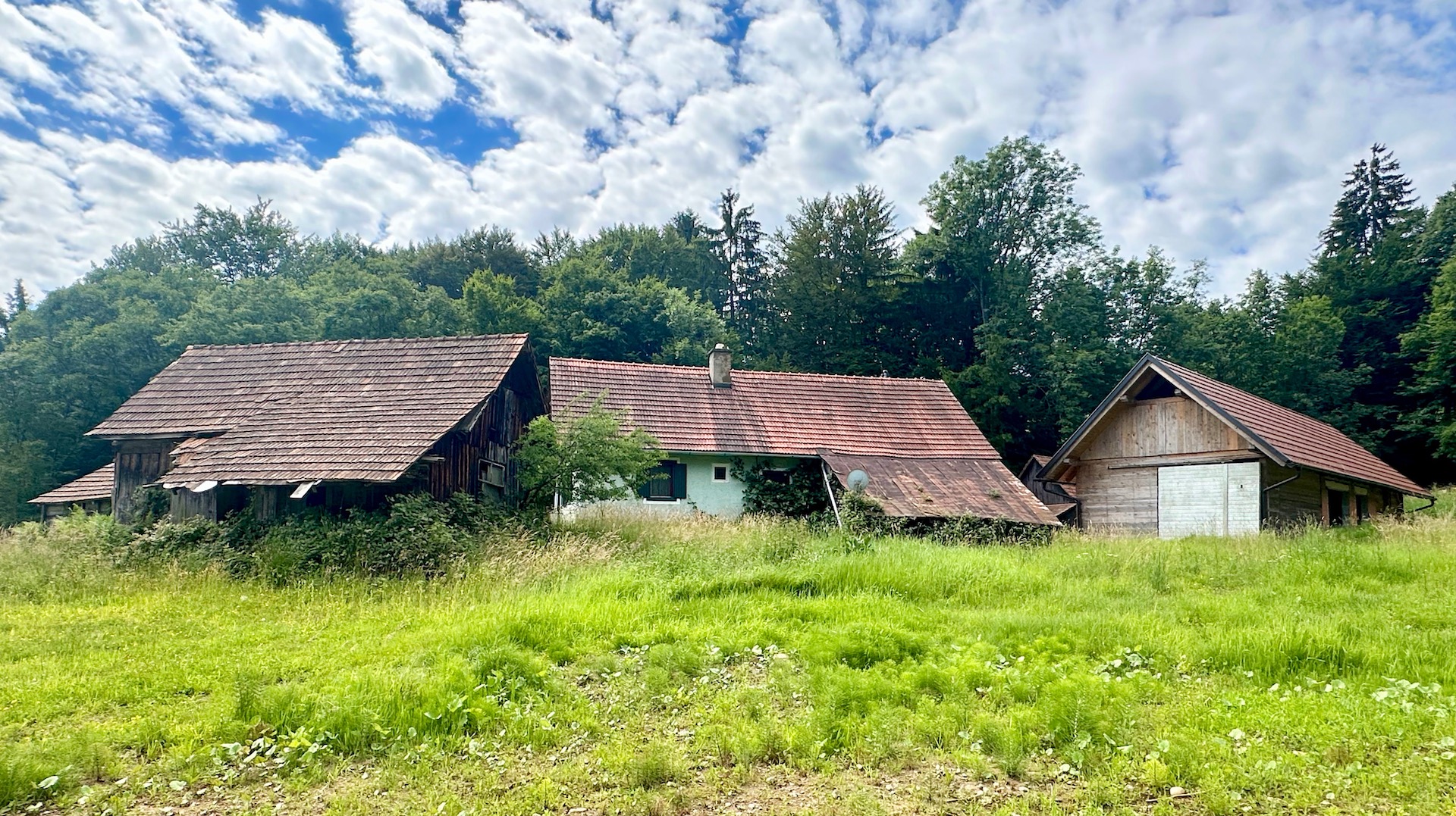 bz-immobilien