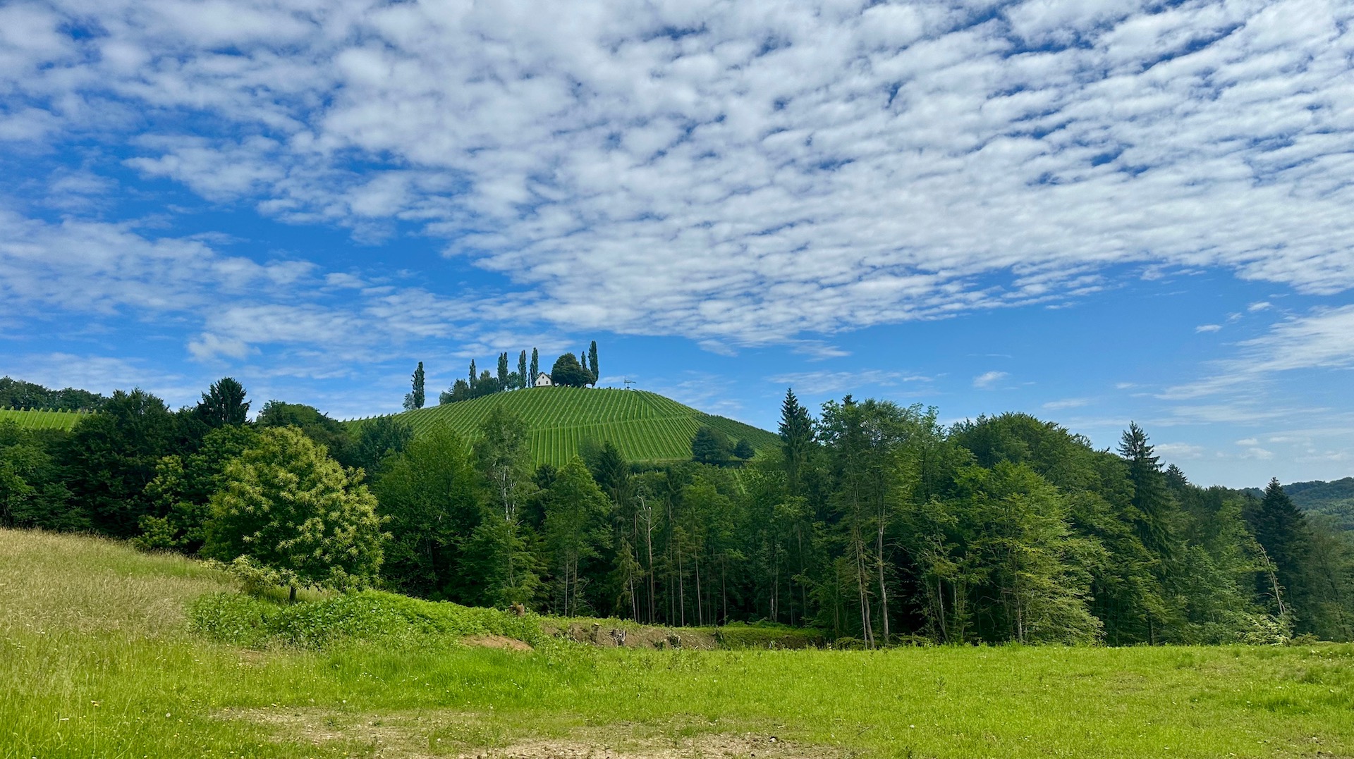 bz-immobilien