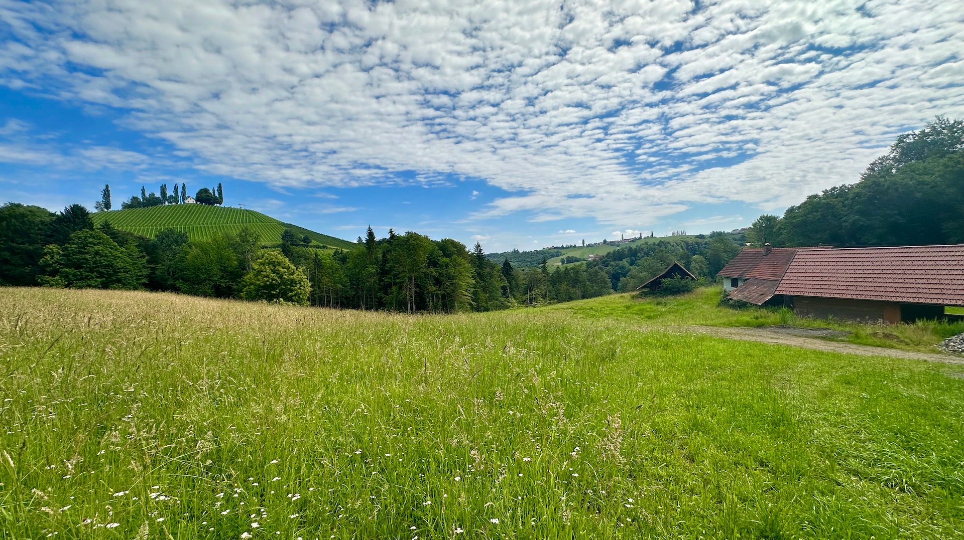 bz-immobilien