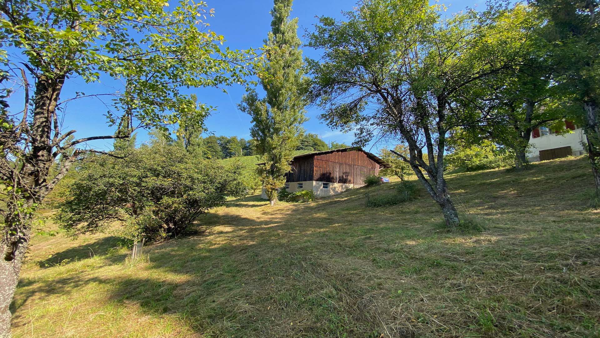 bz-immobilien