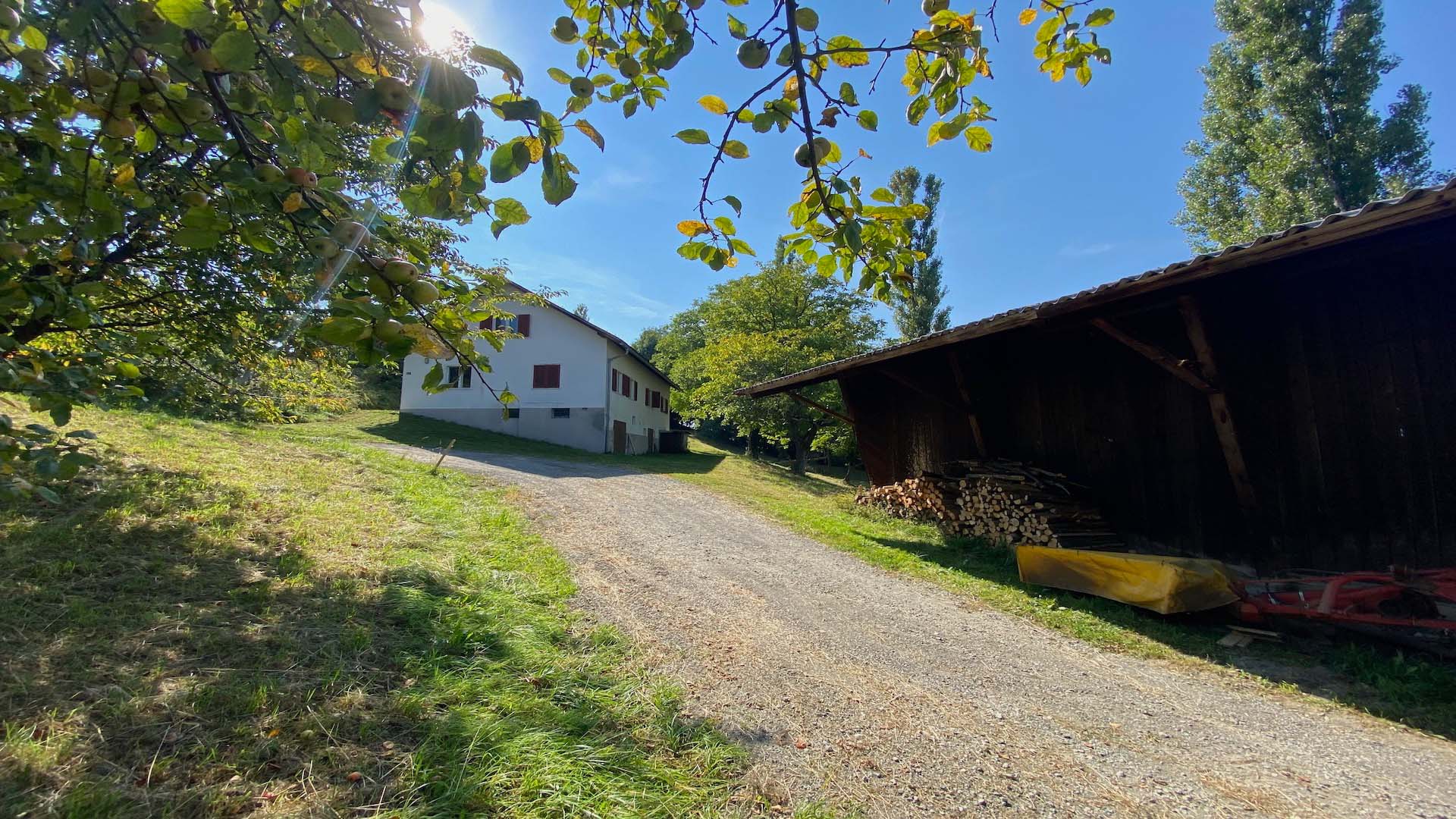 bz-immobilien