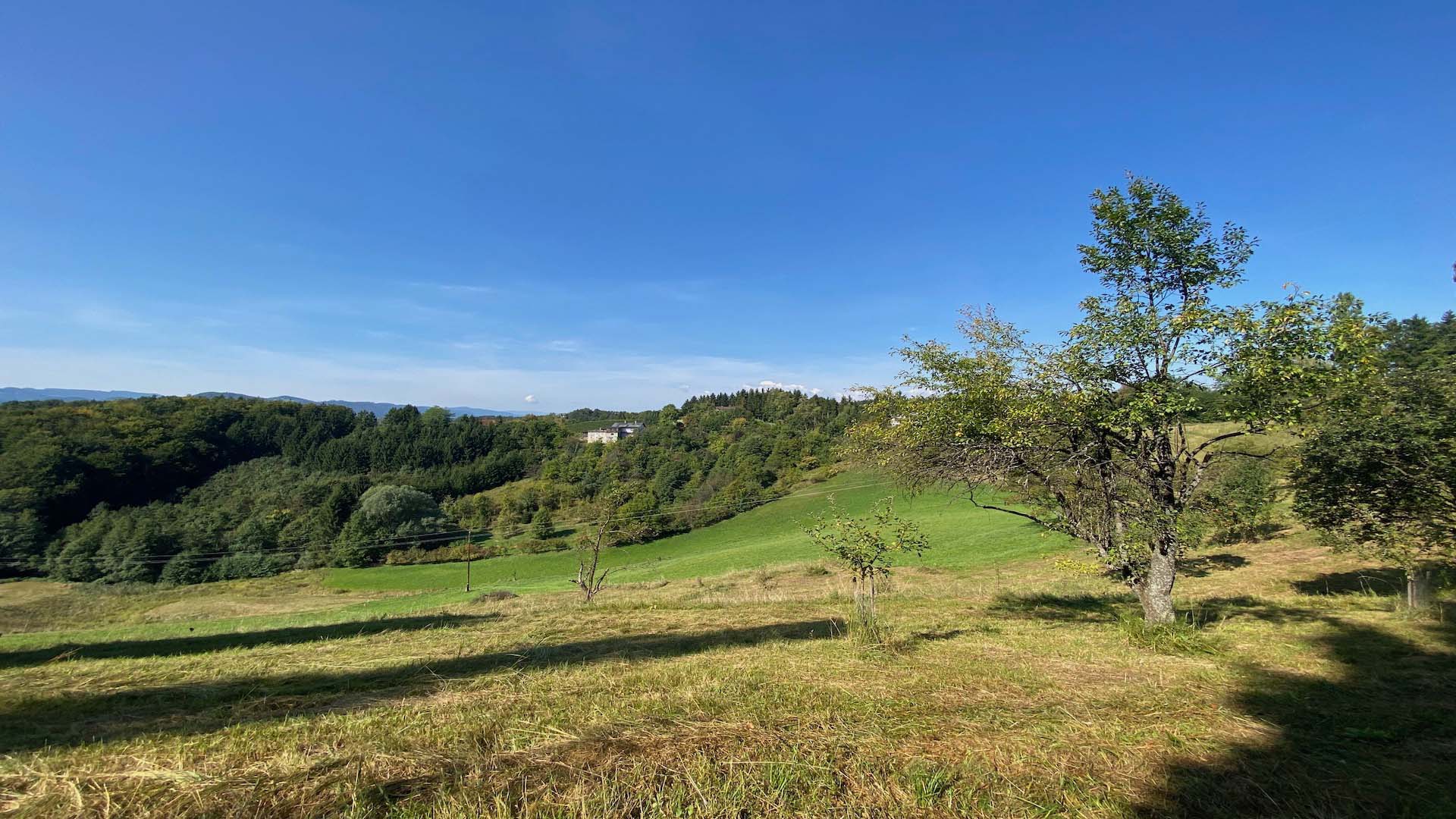 bz-immobilien