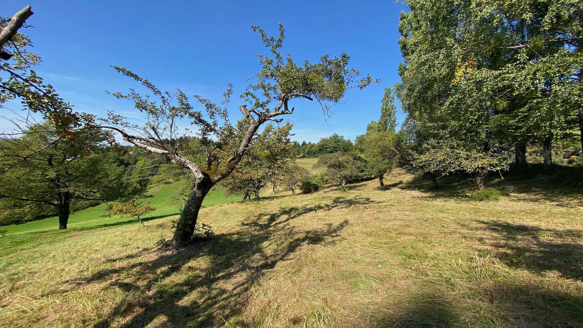 bz-immobilien