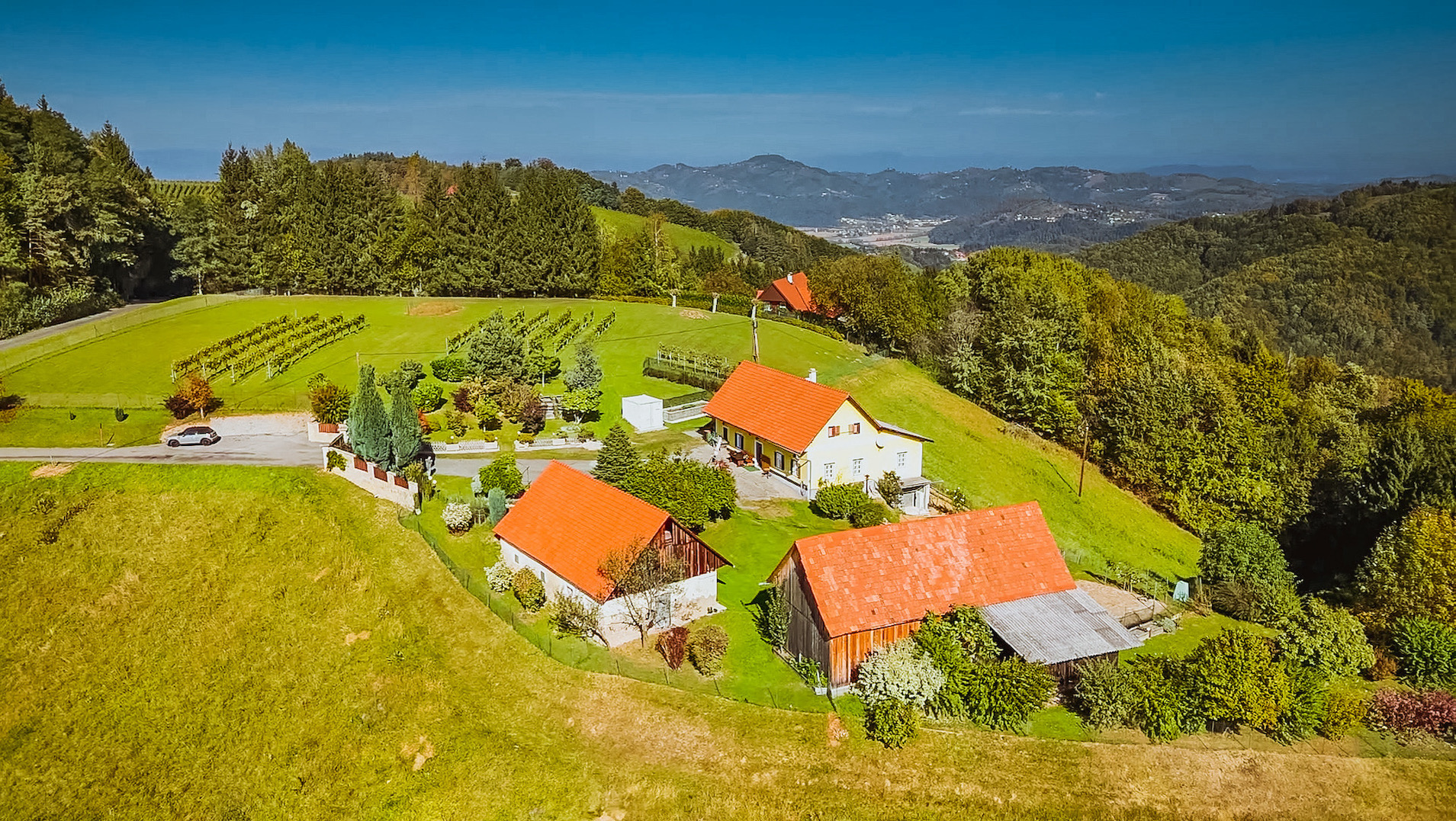 bz-immobilien