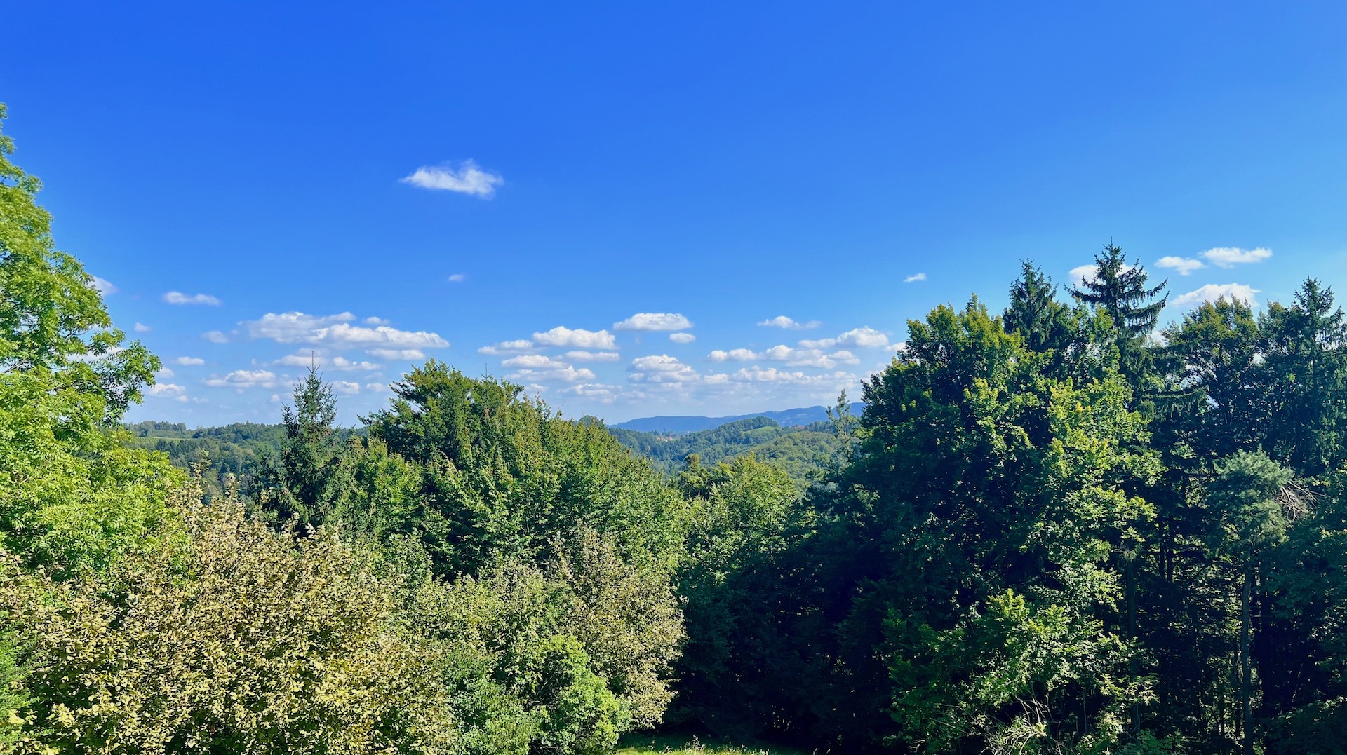 bz-immobilien