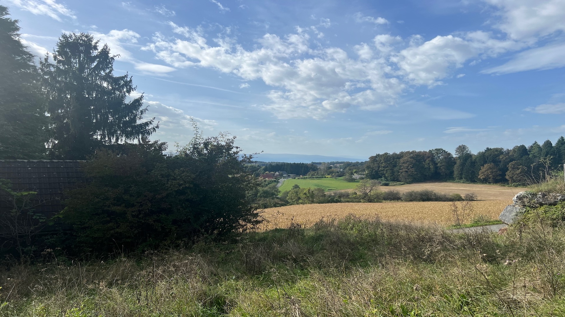 bz-immobilien