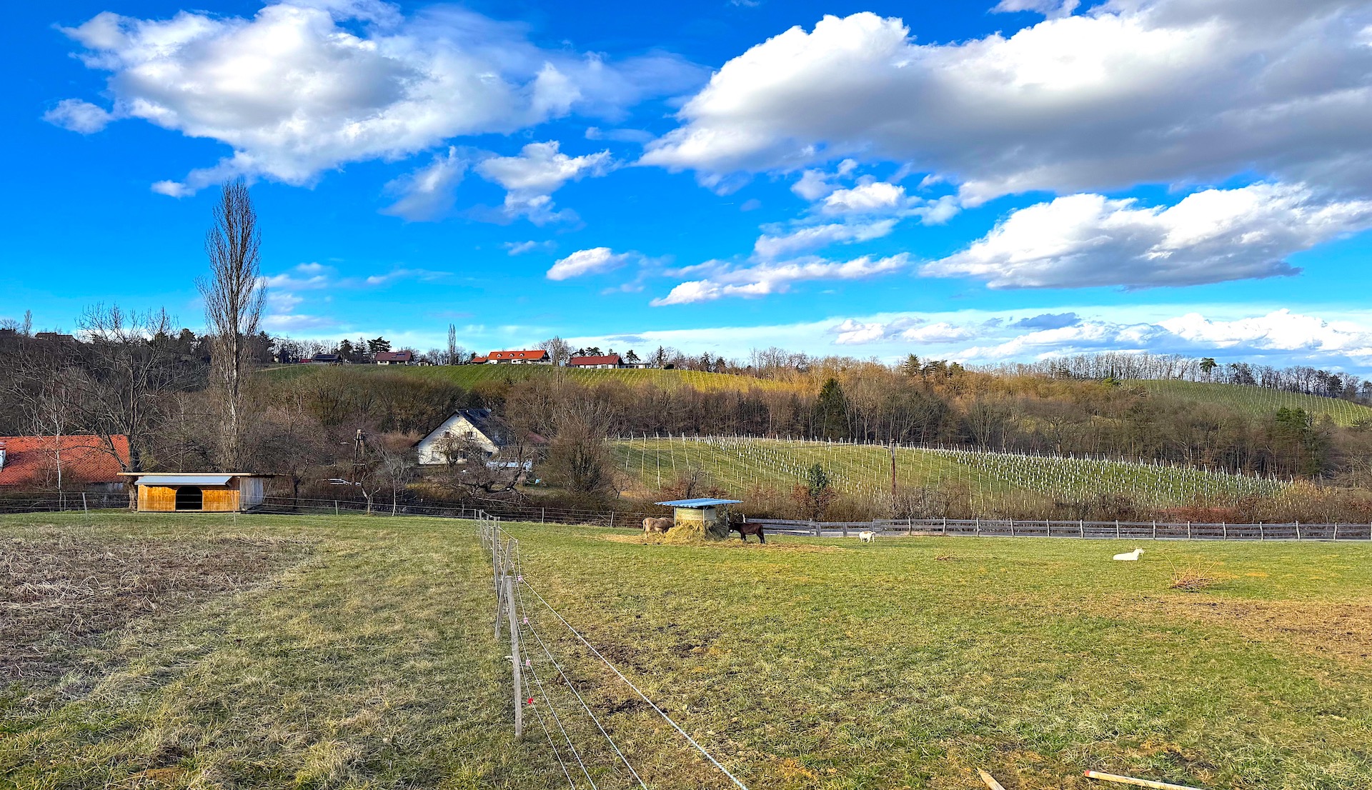 bz-immobilien