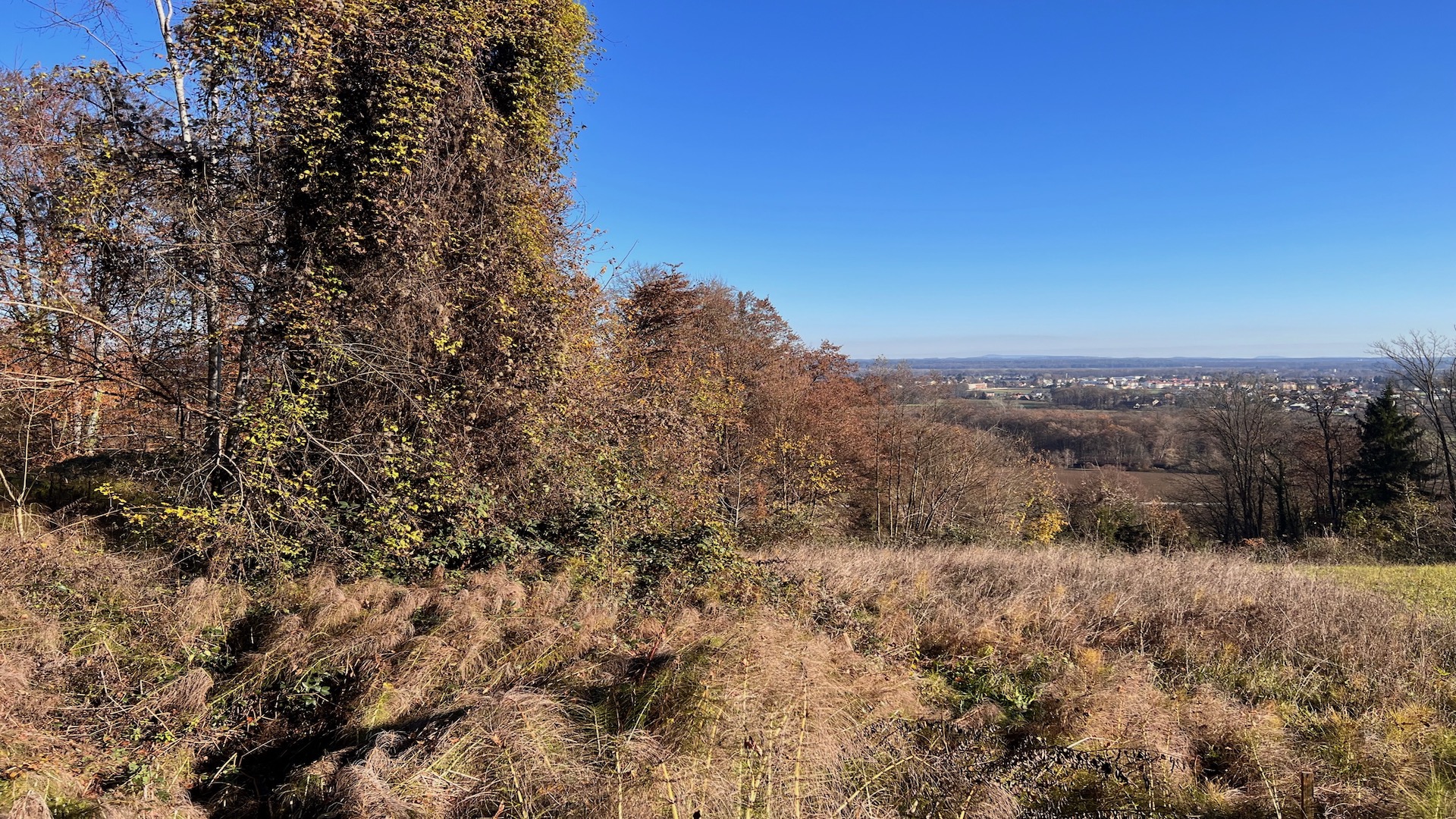 bz-immobilien