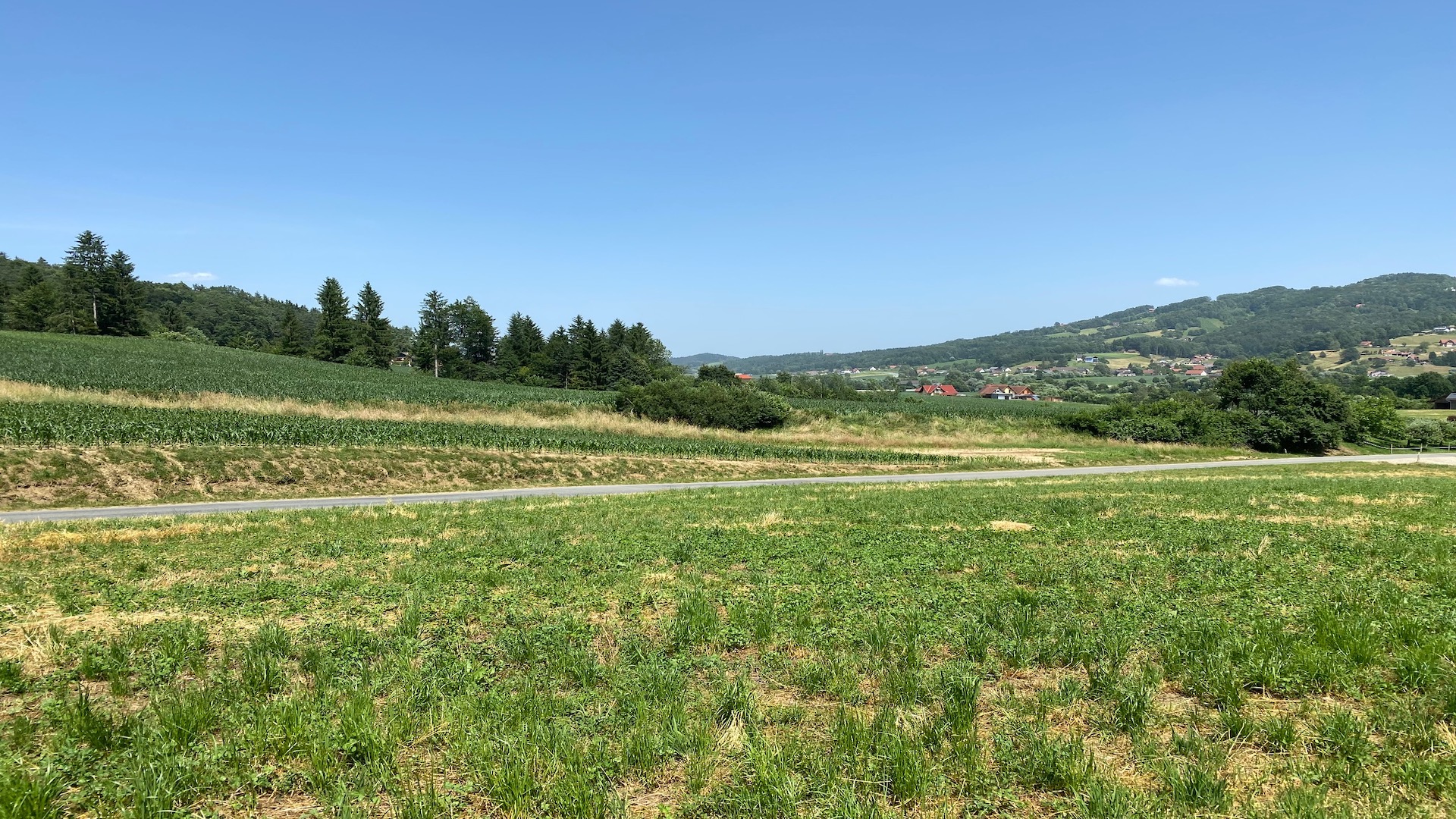bz-immobilien